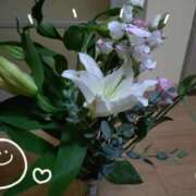 ヒメ日記 2025/08/26 14:27 投稿 桜井はる 五十路マダム 博多店