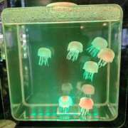 ヒメ日記 2025/08/27 15:17 投稿 桜井はる 五十路マダム 博多店