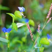 ヒメ日記 2025/08/28 17:27 投稿 桜井はる 五十路マダム 博多店