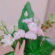 ヒメ日記 2025/09/01 11:37 投稿 桜井はる 五十路マダム 博多店