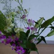 ヒメ日記 2025/09/09 12:48 投稿 桜井はる 五十路マダム 博多店