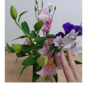 ヒメ日記 2025/09/16 16:57 投稿 桜井はる 五十路マダム 博多店