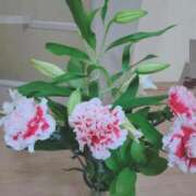 ヒメ日記 2025/09/19 15:27 投稿 桜井はる 五十路マダム 博多店