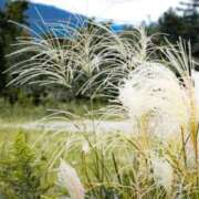ヒメ日記 2025/10/06 18:27 投稿 桜井はる 五十路マダム 博多店