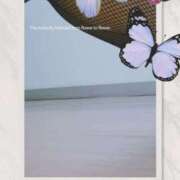 ヒメ日記 2025/10/28 09:29 投稿 桜井はる 五十路マダム 博多店