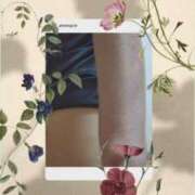 ヒメ日記 2025/10/30 09:33 投稿 桜井はる 五十路マダム 博多店