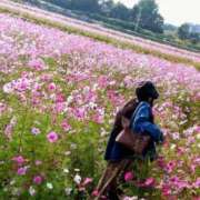 ヒメ日記 2025/11/01 11:57 投稿 桜井はる 五十路マダム 博多店