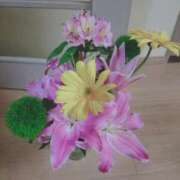 ヒメ日記 2025/11/13 15:07 投稿 桜井はる 五十路マダム 博多店