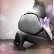 ヒメ日記 2025/11/14 05:57 投稿 桜井はる 五十路マダム 博多店