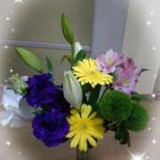 ヒメ日記 2025/11/16 14:27 投稿 桜井はる 五十路マダム 博多店