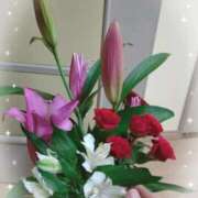 ヒメ日記 2025/11/25 16:07 投稿 桜井はる 五十路マダム 博多店