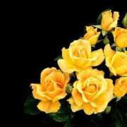 ヒメ日記 2025/11/25 18:07 投稿 桜井はる 五十路マダム 博多店