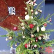 ヒメ日記 2025/11/27 17:51 投稿 桜井はる 五十路マダム 博多店