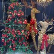 ヒメ日記 2025/12/02 11:27 投稿 桜井はる 五十路マダム 博多店