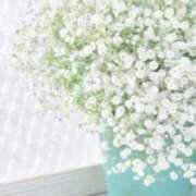 ヒメ日記 2025/12/09 07:27 投稿 桜井はる 五十路マダム 博多店