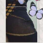 ヒメ日記 2025/12/11 15:17 投稿 桜井はる 五十路マダム 博多店