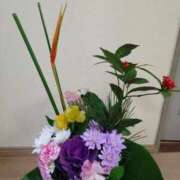 ヒメ日記 2025/12/29 16:47 投稿 桜井はる 五十路マダム 博多店