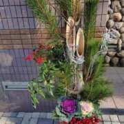 ヒメ日記 2025/12/31 06:17 投稿 桜井はる 五十路マダム 博多店