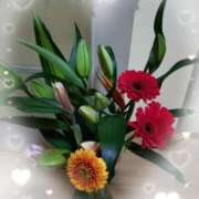 ヒメ日記 2026/01/06 13:47 投稿 桜井はる 五十路マダム 博多店