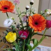 ヒメ日記 2026/02/05 09:17 投稿 桜井はる 五十路マダム 博多店