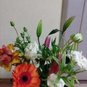 ヒメ日記 2026/02/10 14:08 投稿 桜井はる 五十路マダム 博多店