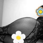 ヒメ日記 2026/02/11 10:17 投稿 桜井はる 五十路マダム 博多店