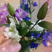 ヒメ日記 2026/02/17 14:27 投稿 桜井はる 五十路マダム 博多店