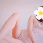 ヒメ日記 2026/02/20 12:17 投稿 桜井はる 五十路マダム 博多店