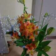 ヒメ日記 2026/02/23 14:37 投稿 桜井はる 五十路マダム 博多店