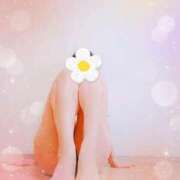 ヒメ日記 2026/02/23 16:27 投稿 桜井はる 五十路マダム 博多店