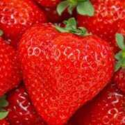 ヒメ日記 2026/02/27 16:17 投稿 桜井はる 五十路マダム 博多店