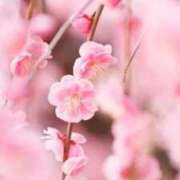 ヒメ日記 2026/03/01 09:27 投稿 桜井はる 五十路マダム 博多店