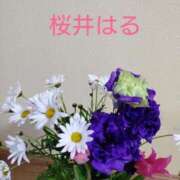 ヒメ日記 2026/03/17 13:07 投稿 桜井はる 五十路マダム 博多店