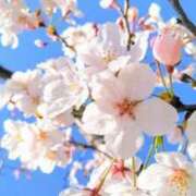 ヒメ日記 2026/03/24 07:48 投稿 桜井はる 五十路マダム 博多店