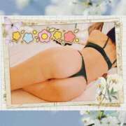 ヒメ日記 2026/03/26 05:57 投稿 桜井はる 五十路マダム 博多店