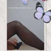 ヒメ日記 2026/03/31 10:08 投稿 桜井はる 五十路マダム 博多店