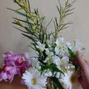 ヒメ日記 2026/04/02 14:07 投稿 桜井はる 五十路マダム 博多店