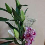 ヒメ日記 2026/04/14 14:07 投稿 桜井はる 五十路マダム 博多店