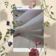 ヒメ日記 2026/04/18 10:33 投稿 桜井はる 五十路マダム 博多店