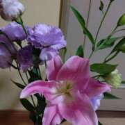 ヒメ日記 2026/06/07 07:17 投稿 桜井はる 五十路マダム 博多店
