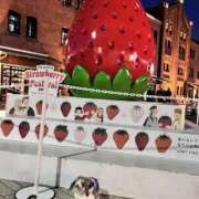 ヒメ日記 2025/02/09 20:20 投稿 あいみ ふぞろいの人妻たち