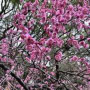 ヒメ日記 2025/02/16 18:20 投稿 あいみ ふぞろいの人妻たち