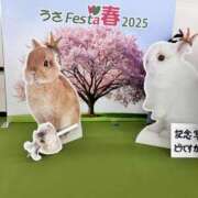 ヒメ日記 2025/03/15 16:50 投稿 あいみ ふぞろいの人妻たち