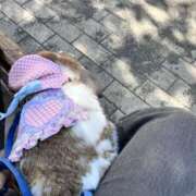 ヒメ日記 2025/04/16 15:20 投稿 あいみ ふぞろいの人妻たち