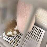 ヒメ日記 2025/04/23 21:01 投稿 あいみ ふぞろいの人妻たち