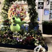 ヒメ日記 2025/04/28 11:50 投稿 あいみ ふぞろいの人妻たち