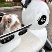 ヒメ日記 2025/05/29 17:10 投稿 あいみ ふぞろいの人妻たち