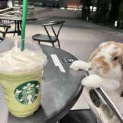 ヒメ日記 2025/06/29 21:01 投稿 あいみ ふぞろいの人妻たち