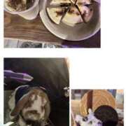 ヒメ日記 2025/08/09 21:30 投稿 あいみ ふぞろいの人妻たち