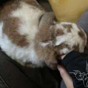 ヒメ日記 2025/08/19 14:40 投稿 あいみ ふぞろいの人妻たち